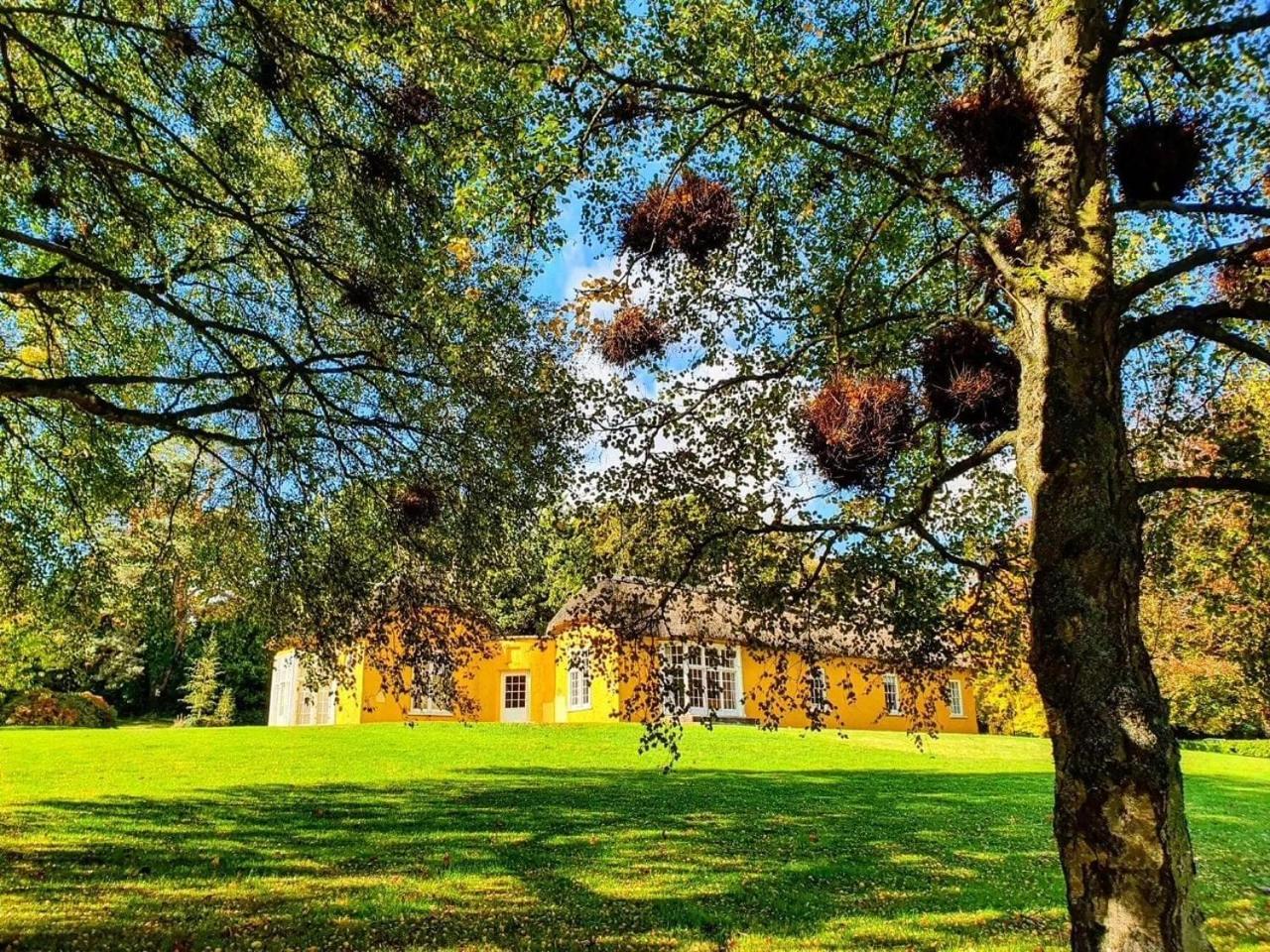 Отель The Nest Ньюри Экстерьер фото